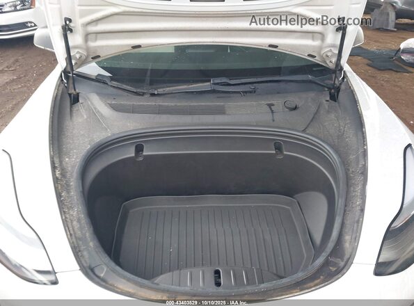 5YJ3E1EB1LF712697 2020 TESLA MODEL 3 White Rear view