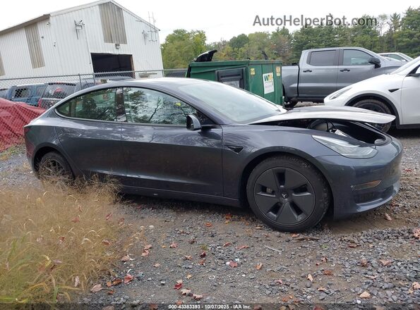 5YJ3E1EB4NF260019 2022 TESLA MODEL 3 Gray Widok wnętrza z tyłu