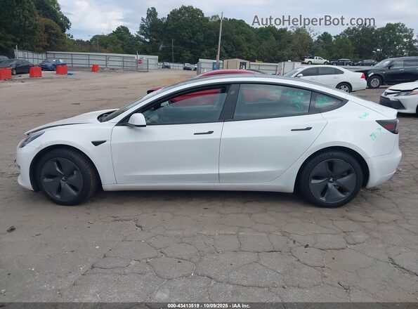 5YJ3E1EB6LF790599 2020 TESLA MODEL 3 White Rear interior view