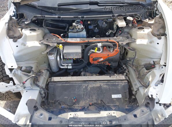 5YJ3E1EB7MF998654 2021 TESLA MODEL 3 White უკანა ხედი