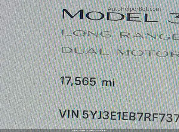 5YJ3E1EB7RF737029 2024 TESLA MODEL 3 Синий Вид задних сидений