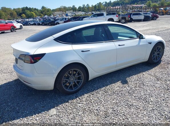 5YJ3E1EBXMF975837 2021 TESLA MODEL 3 White 