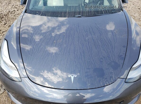 5YJ3E1EC1LF736362 2020 TESLA MODEL Gray Widok wnętrza z tyłu