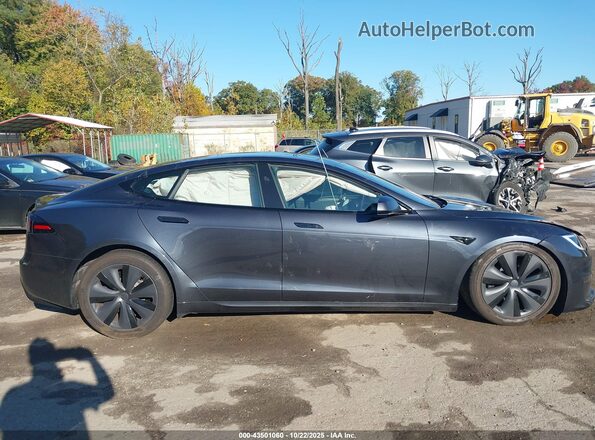 5YJSA1E56PF527181 2023 TESLA MODEL S Gray 