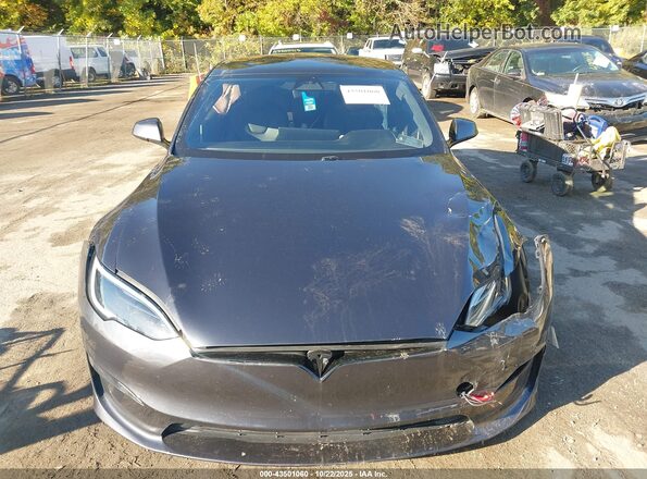 5YJSA1E56PF527181 2023 TESLA MODEL S Gray 