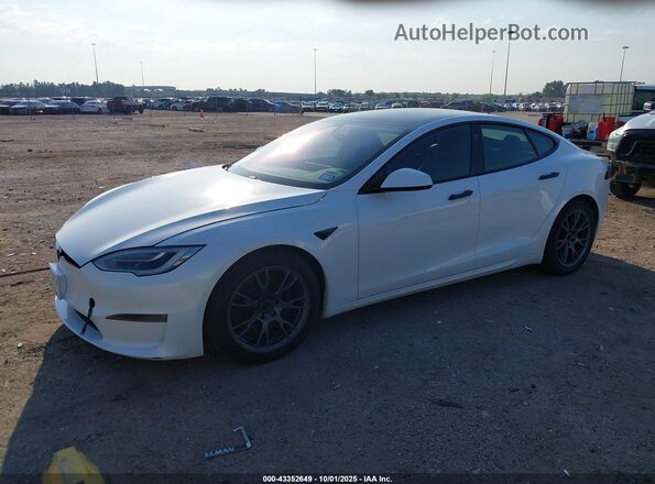 5YJSA1E69MF453081 2021 TESLA MODEL S White 