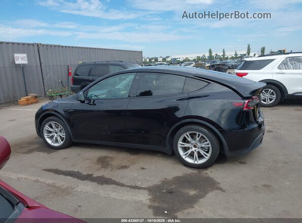 5YJYGAEE8MF218784 2021 TESLA MODEL Y Черный 