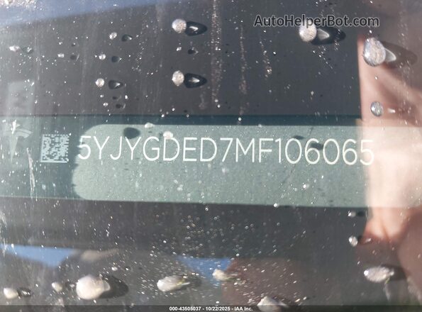 5YJYGDED7MF106065 2021 TESLA MODEL Y Black 