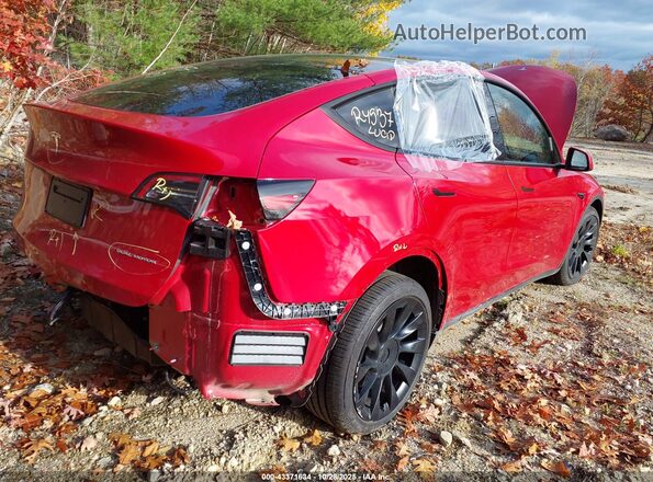 5YJYGDEE1LF036537 2020 TESLA MODEL Y Red Trasero derecho