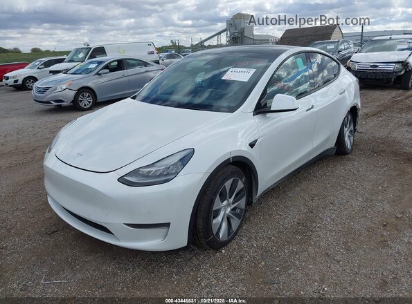 5YJYGDEE1MF086369 2021 TESLA MODEL Y Белый Передняя левая четверть
