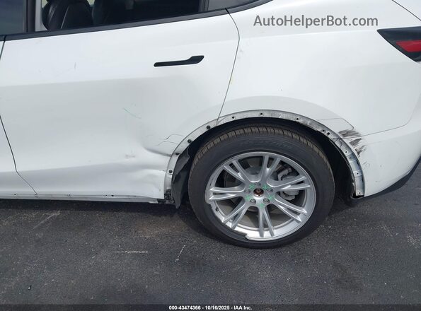 5YJYGDEE3MF079911 2021 TESLA MODEL Y White 