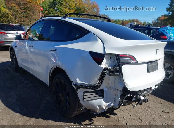5YJYGDEE5MF233096 2021 TESLA MODEL Y White 