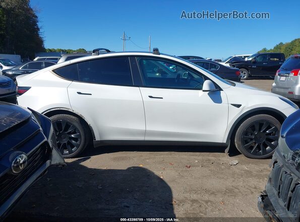 5YJYGDEE5MF233096 2021 TESLA MODEL Y White 