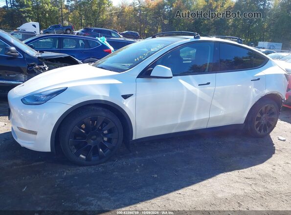 5YJYGDEE5MF233096 2021 TESLA MODEL Y White 