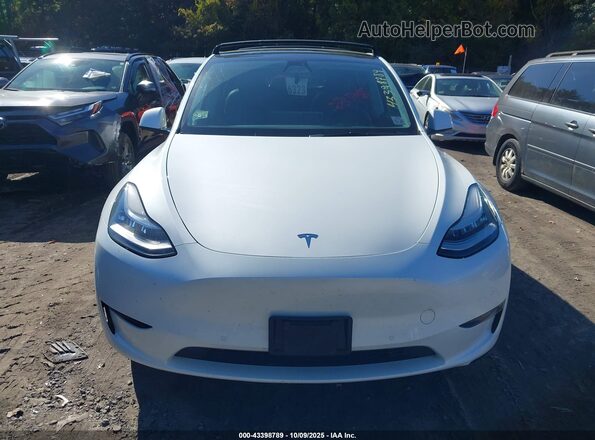 5YJYGDEE5MF233096 2021 TESLA MODEL Y White 