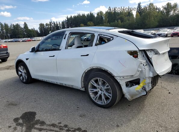5YJYGDEE6LF023427 2020 TESLA MODEL White Tył lewy