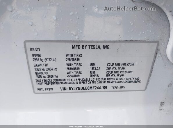 5YJYGDEE6MF244169 2021 TESLA MODEL Y White 