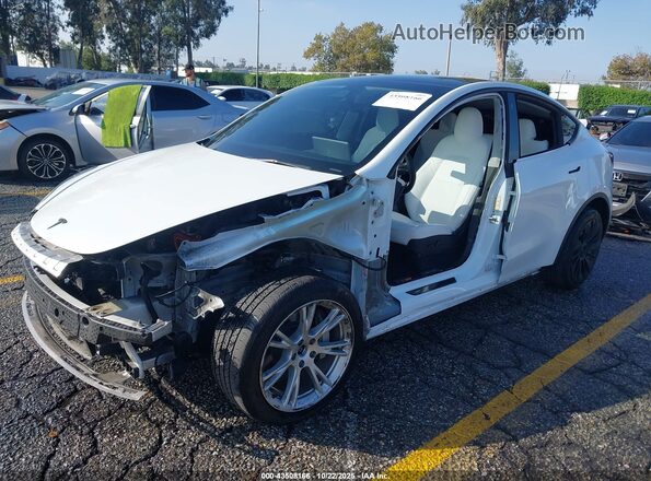 5YJYGDEE6MF244169 2021 TESLA MODEL Y White 