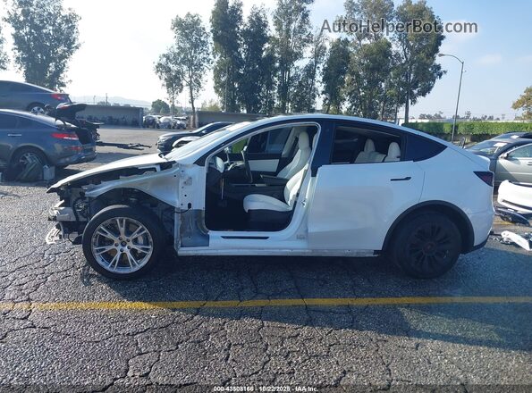 5YJYGDEE6MF244169 2021 TESLA MODEL Y White 