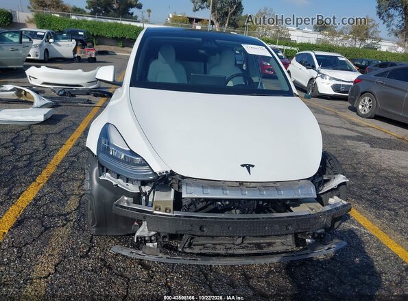 5YJYGDEE6MF244169 2021 TESLA MODEL Y White 