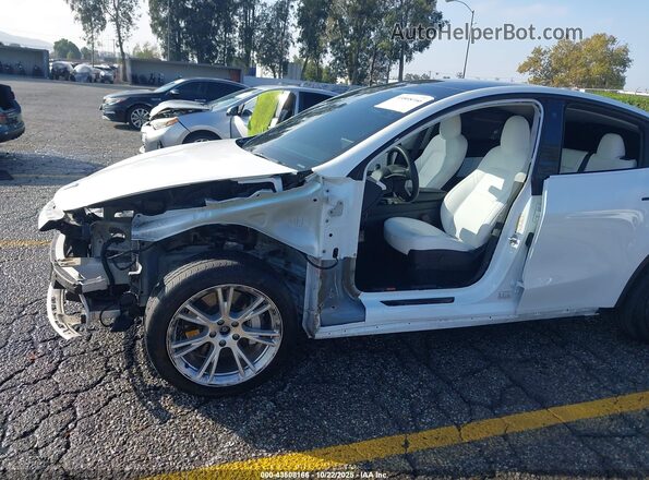 5YJYGDEE6MF244169 2021 TESLA MODEL Y White 