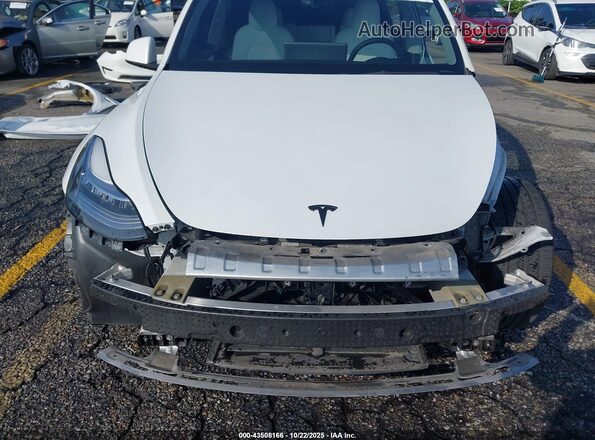5YJYGDEE6MF244169 2021 TESLA MODEL Y White 