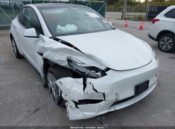 5YJYGDEE6MF298085 2021 TESLA MODEL Y White 