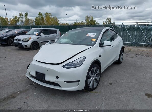 5YJYGDEE6MF298085 2021 TESLA MODEL Y White 