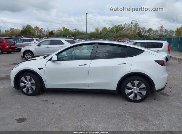 5YJYGDEE6MF298085 2021 TESLA MODEL Y White 
