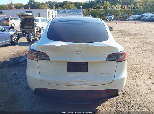 5YJYGDEE8MF199767 2021 TESLA MODEL Y White 
