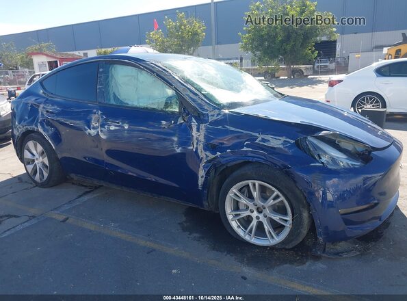 5YJYGDEE9MF263895 2021 TESLA MODEL Y Blue 