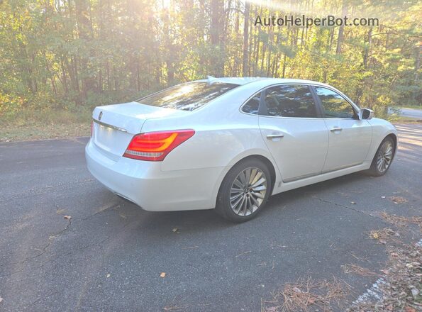 KMHGH4JH8GU104303 2016 HYUNDAI EQUUS Белый Вид спереди