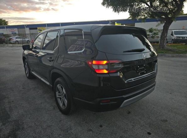 5FNYG2H53RB002351 2024 HONDA PILOT Black 