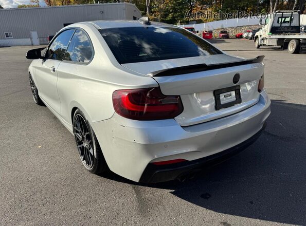 WBA1F9C56GV545208 2016 BMW 2 SERIES Silver Задня права чверть