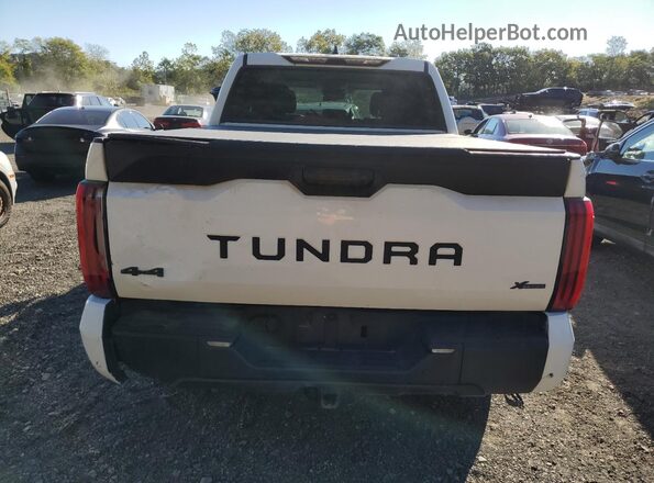 5TFLA5DBXPX109117 2023 TOYOTA TUNDRA White 
