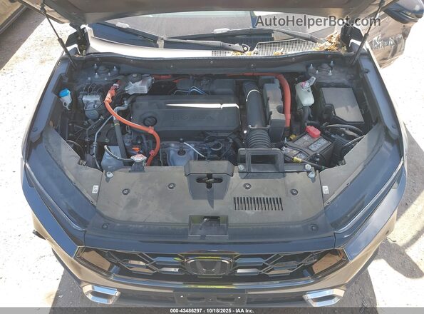 7FARS6H91RE062713 2024 HONDA CR-V Black Вид ззаду