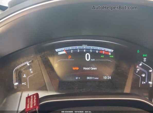 7FARW2H54LE021395 2020 HONDA CR-V Серый Вид задних сидений