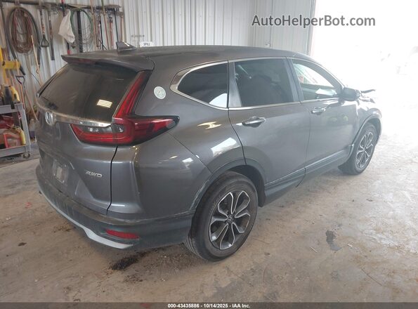 7FARW2H54LE021395 2020 HONDA CR-V Серый Задняя правая четверть