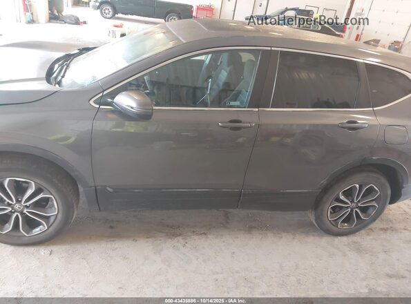 7FARW2H54LE021395 2020 HONDA CR-V Серый Панорамный вид салона 360°