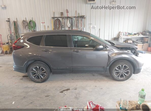 7FARW2H54LE021395 2020 HONDA CR-V Серый Вид задней части салона