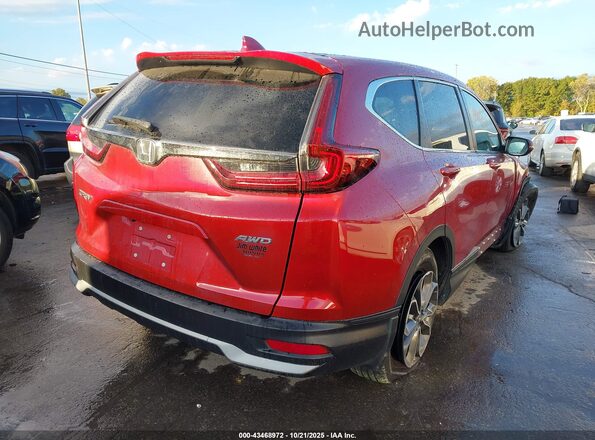 7FARW2H59NE016728 2022 HONDA CR-V Red Tył prawy