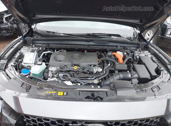 7MMVAAEW6SN131686 2025 MAZDA CX-50 HYBRID Gray Widok z tyłu