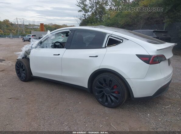 7SAYGAEEXNF515060 2022 TESLA MODEL Y White Հետևի ձախ
