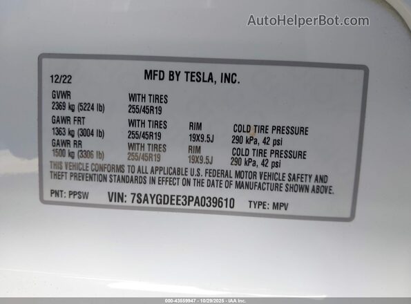 7SAYGDEE3PA039610 2023 TESLA MODEL Y White 