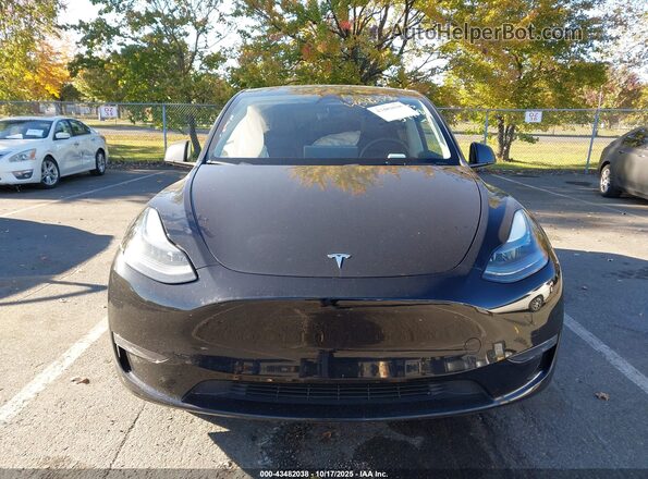 7SAYGDEE6PF859408 2023 TESLA MODEL Y Black 