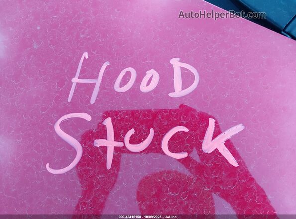 7SAYGDEEXRA245350 2024 TESLA MODEL Y Red უკანა ხედი