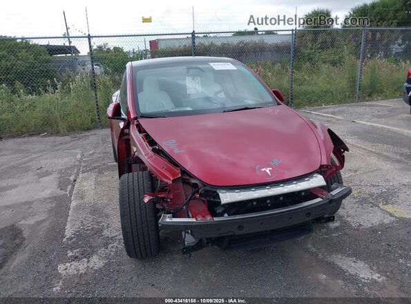 7SAYGDEEXRA245350 2024 TESLA MODEL Y Red წინა ხედი