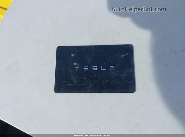7SAYGDEF9RF079267 2024 TESLA MODEL Y Red Rear view