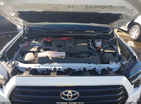 7SVAAABA6SX072253 2025 TOYOTA SEQUOIA White Widok z tyłu