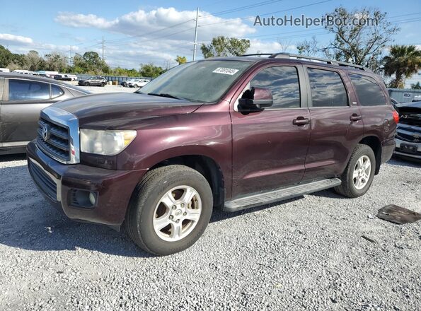 5TDZY5G10HS067671 2017 TOYOTA SEQUOIA Burgundy Tył lewy